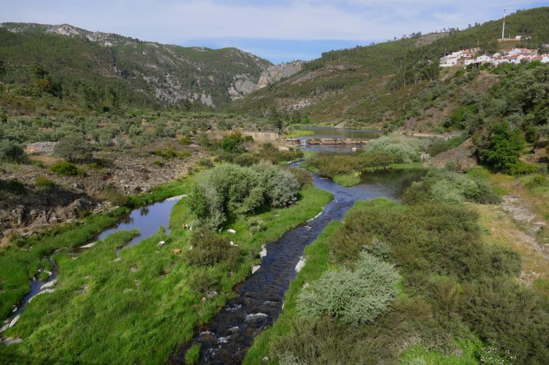 Ródão: Passeio recria a exploração de ouro na Foz do Cobrão