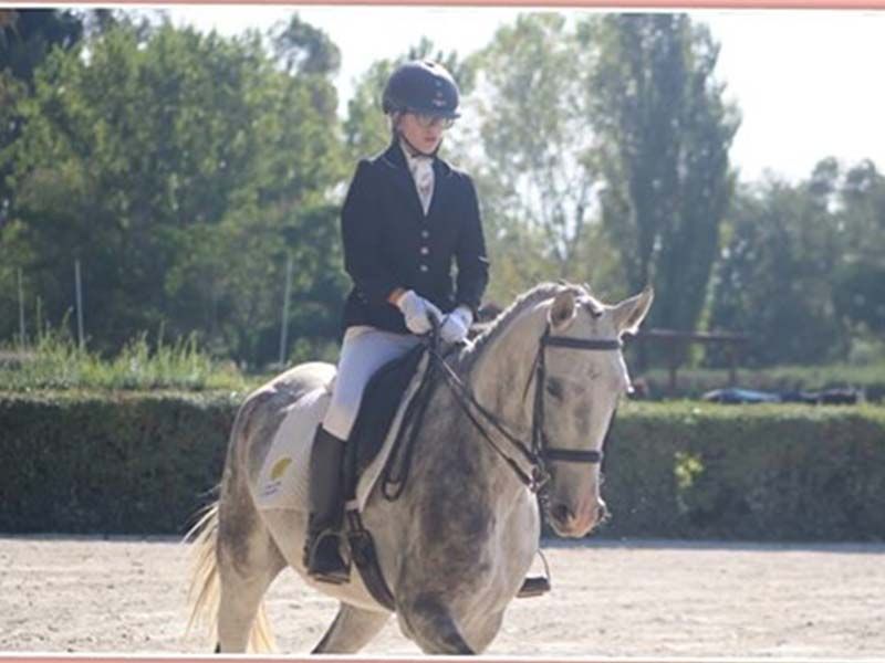 Castelo Branco: Atleta de hipismo da Carapalha conquista medalha de Ouro em Coimbra