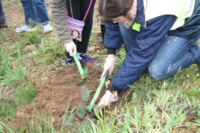 Politécnicos querem integrar caloiros com ações de cariz social e ambiental