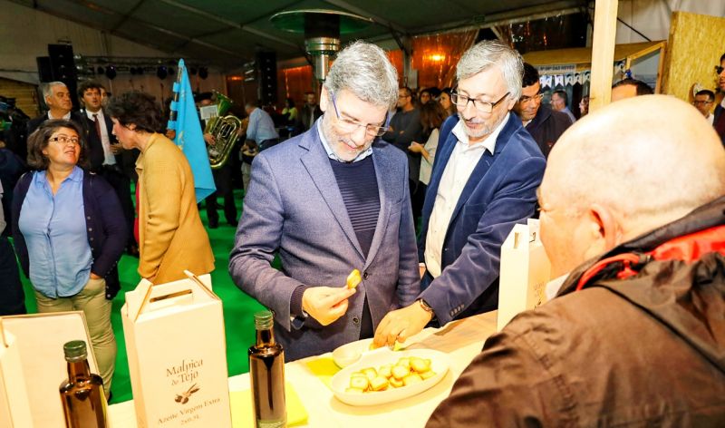 Castelo Branco: Feira do Azeite e da Azeitona promove dinamismo económico no Concelho