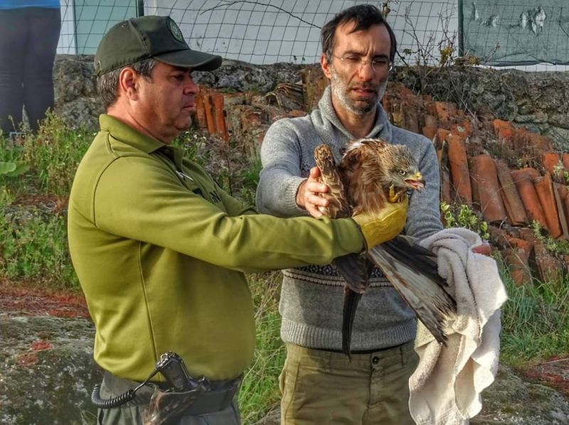 GNR da Covilhã devolve Milhafre-Real ao seu habitat natural 