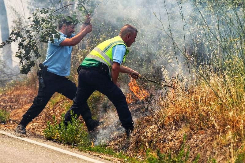 Covid-19: Contexto do risco de incêndios é “preocupante” em 2020