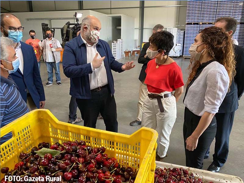 Governo promete estudar linha de crédito bonificada para prejuízos na cereja