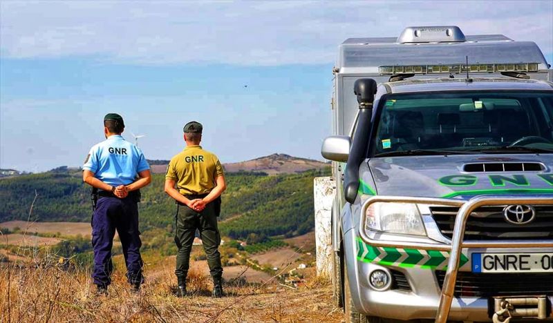 Incêndios: GNR inicia fiscalização na 2.ª feira com 23.852 incumprimentos na limpeza de terrenos