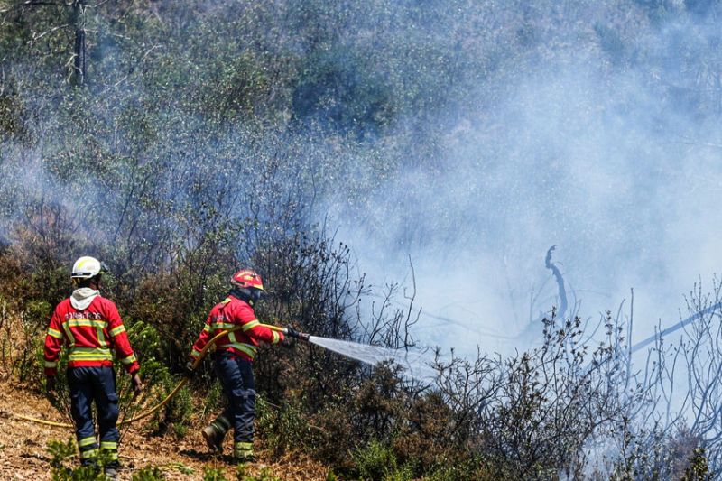 Incêndios: Dominados fogos no Fundão e Covilhã 