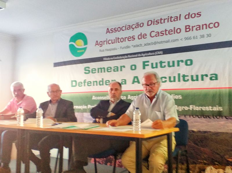 Covid-19: Agricultores de Castelo Branco reivindicam apoio que se adapte à realidade agrícola