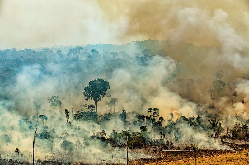 Proença-a-Nova: Incêndio de Julho queimou 466 hectares de floresta no Concelho 
