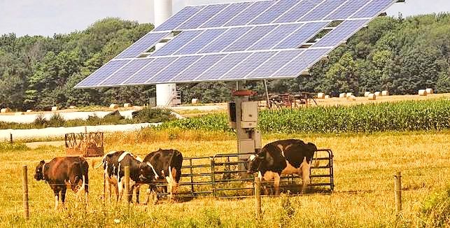 Agricultores de Castelo Branco exigem manutenção da Electricidade Verde