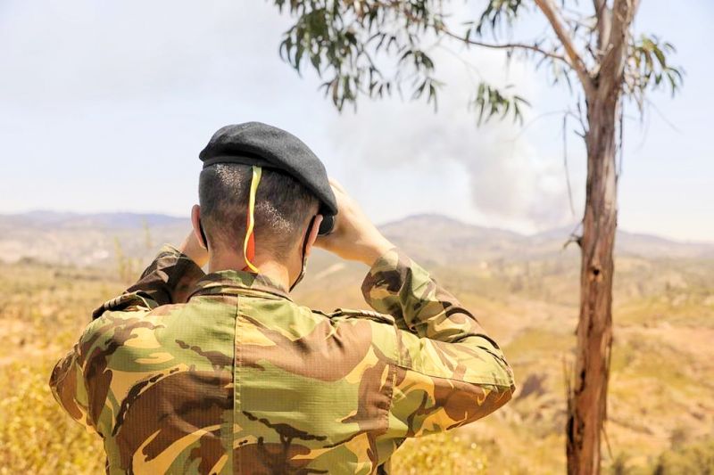 Incêndios: Militares em ações de prevenção até terça-feira devido ao risco elevado