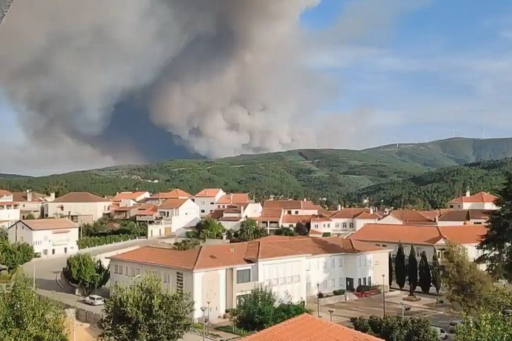 Incêndios: Fogo que começou em Proença-a-Nova no domingo ficou em resolução às 17:50