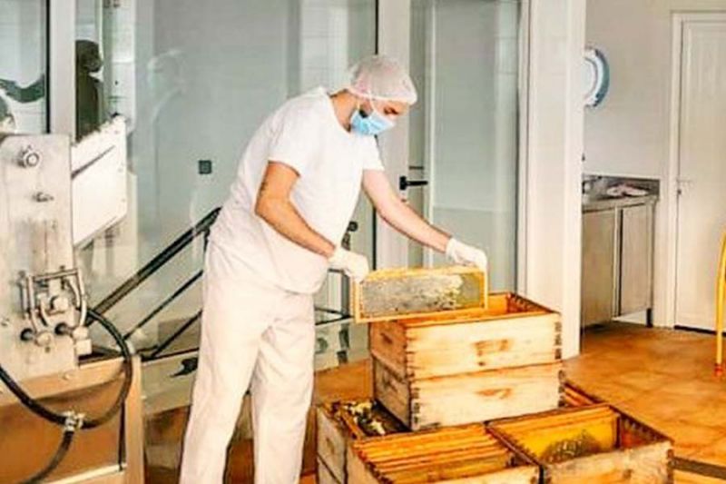 Apicultores de Castelo Branco produziram 38 toneladas de mel na campanha de 2020