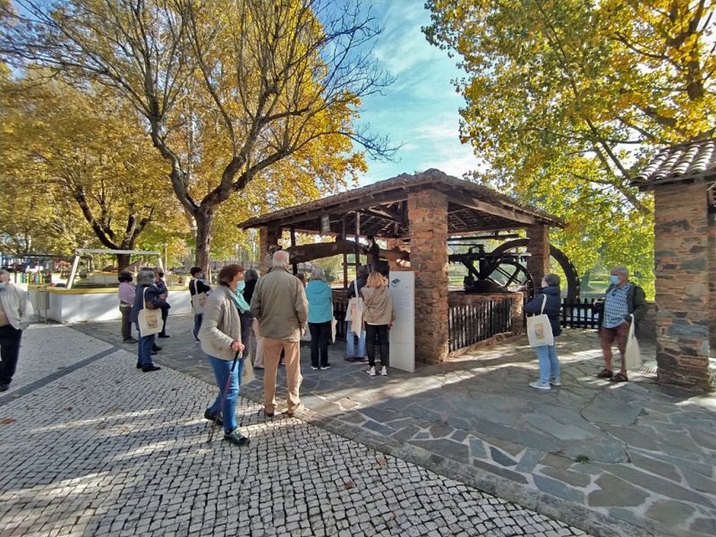 Sertã: Estrada Nacional 2 atrai turistas 

