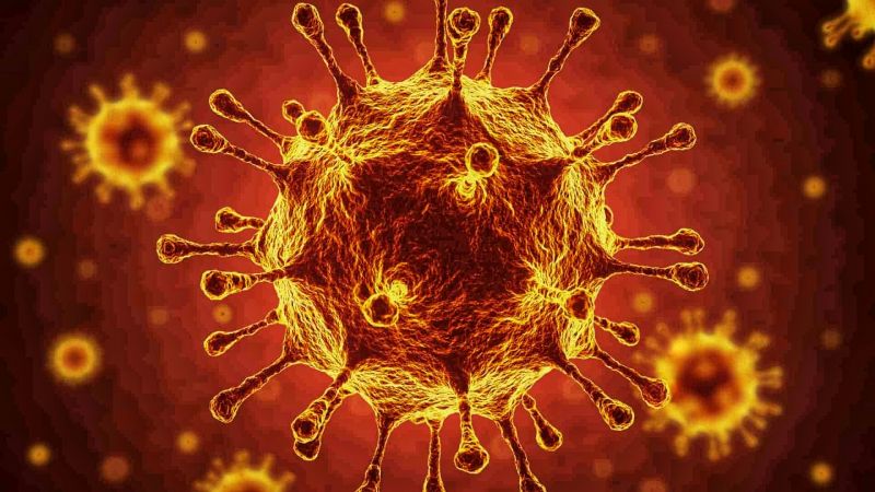 Covid-19. Há três novas variantes do vírus a circular em Portugal