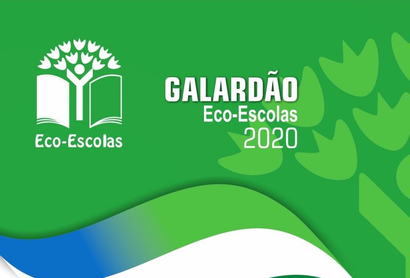 Fundão: EB1 Santa Teresinha e Externato Capitão Santiago de Carvalho distinguidos com a Bandeira Verde Eco-Escolas