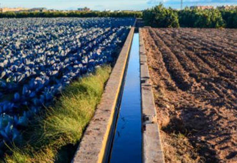 Programa de Regadios no valor de 50 milhões de euros inclui Regadio da Barragem da Marateca