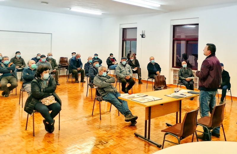 Oleiros: Prazo a candidaturas de apoio financeiro aos prejuízos pós-incêndios até 15 de Janeiro
