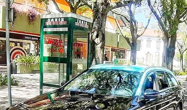 Covid-19/Castelo Branco: Câmara suporta custo da entrega de comida no domicílio dos fregueses albicastrenses por taxistas 