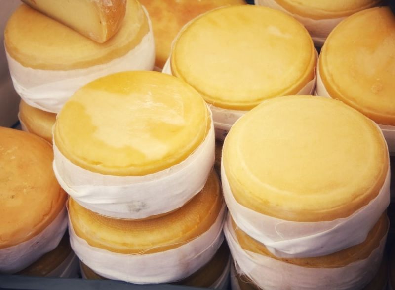 Castelo Branco: InovCluster quer valorização económica dos queijos DOP da região Centro