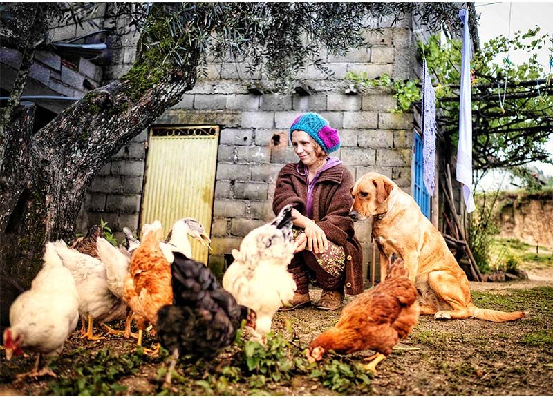 Viver na Natureza - Reportagem do fotojornalista do Diário Digital, Ivo Vladimiro, perto de Viseu 