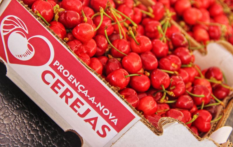 Uma tonelada de cerejas distribuída em Proença-a-Nova