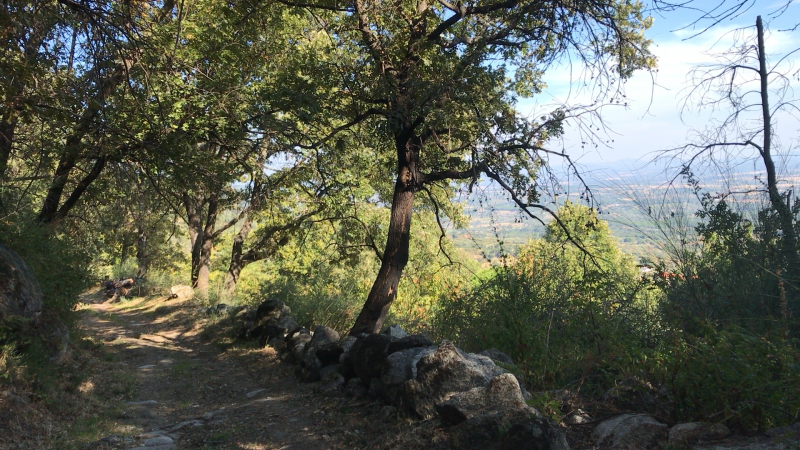 Serra da Gardunha: Férias com caminhos pedestres