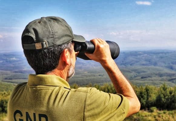 Incêndios: 1° Relatório de 2021revela importância de evitar comportamentos de risco