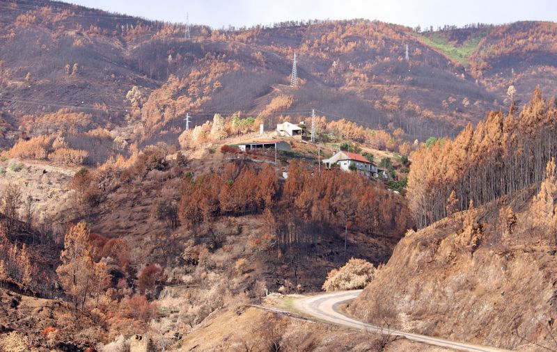 Incêndios: Câmara de Proença-a-Nova apoia proprietários afetados em 2020