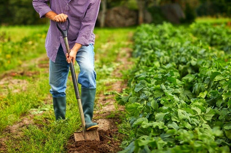 Produção agrícola e o seu escoamento debatida em Vila de Rei 