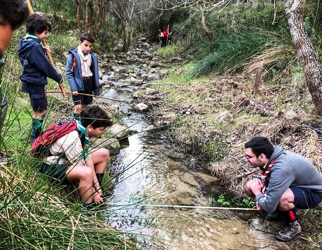 ASPEA apela à monitorização dos troços de rios através do 