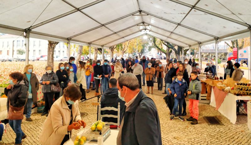 Flagrantes no Pinhal juntou artes e património na Sertã
