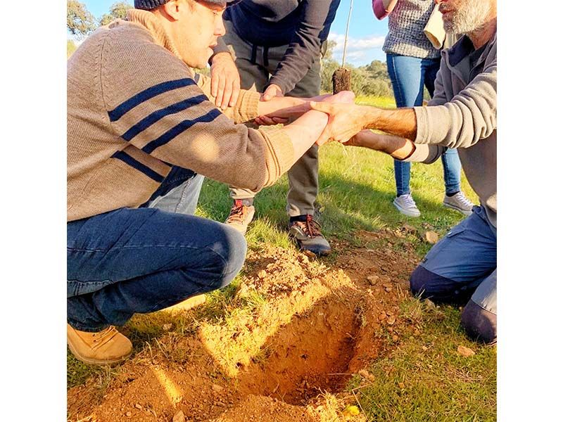 Castelo Branco: Utentes da ACAPO reflorestam zona verde em Monforte da Beira