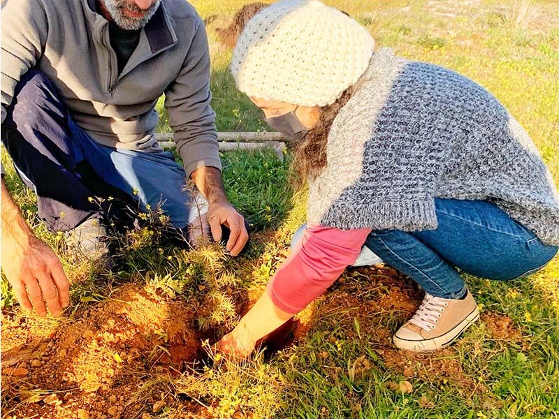 Castelo Branco: Utentes da ACAPO reflorestam zona verde em Monforte da Beira