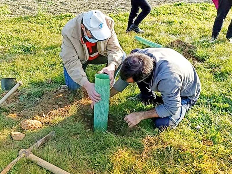 Castelo Branco: Utentes da ACAPO reflorestam zona verde em Monforte da Beira