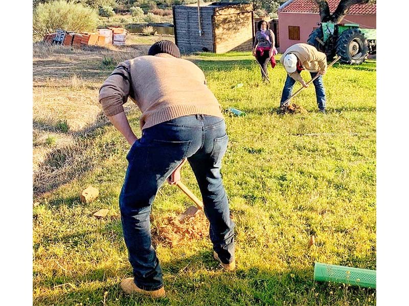 Castelo Branco: Utentes da ACAPO reflorestam zona verde em Monforte da Beira