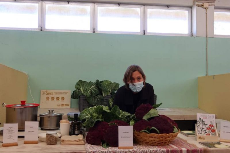 Idanha-a-Nova lançou Mercado da Bio-Região