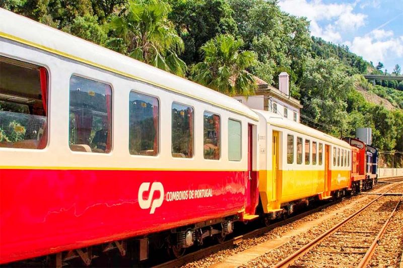 Lisboa/Castelo Branco: CP promove viagem de comboio para fotografias do Instagram 