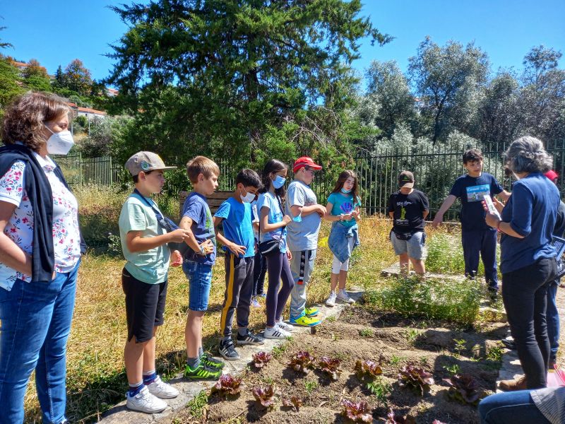 Penamacor: Município e AERS realizam atividades junto de alunos com necessidades educativas especiais
