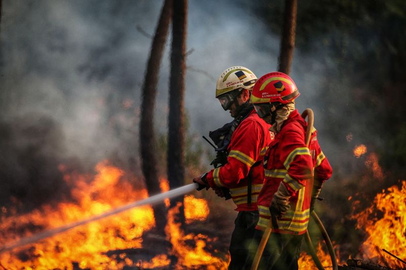 Incêndio: Mais de 500 operacionais combatem fogo na Covilhã