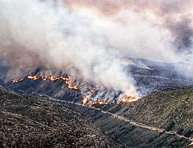 Incêndio: Proteção Civil prevê extinção do fogo na Serra da Estrela em 2 dias