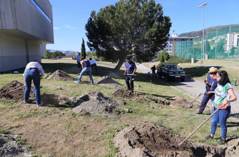 Politécnico de Castelo Branco planta arboreto de espécies medicinais na UBI