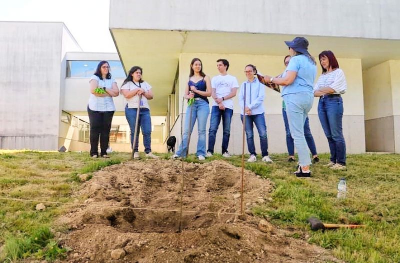 Politécnico de Castelo Branco planta arboreto de espécies medicinais na UBI