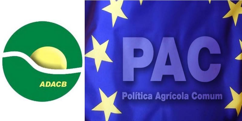 Agricultores de Castelo Branco denunciam enormes problemas nas ajudas da PAC