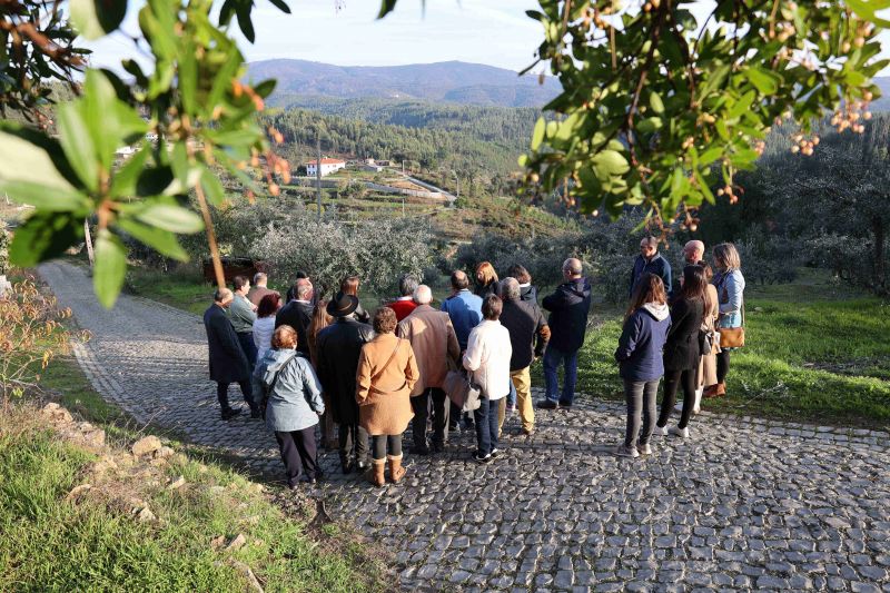 Sertã: Município assinala “Dia Mundial da Oliveira” no Lagar do Fundão 

