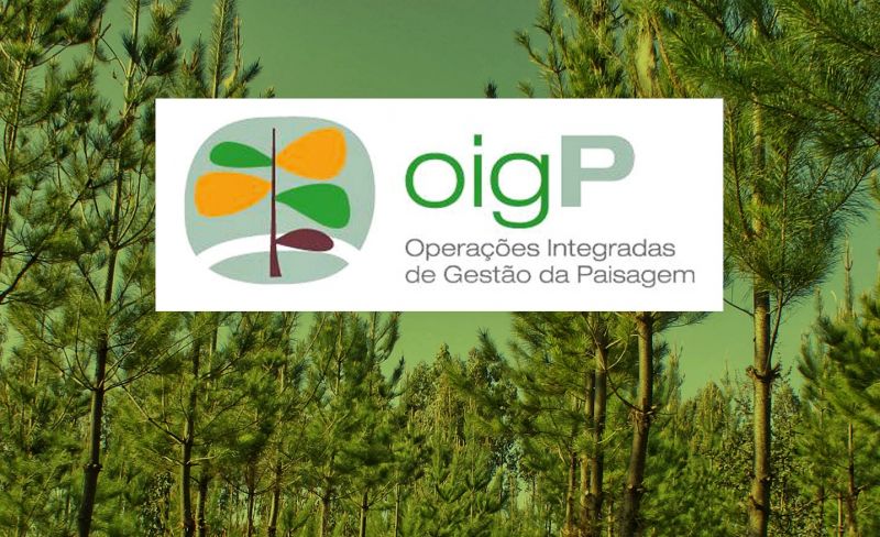 Proença-a-Nova:  OIGPs de Fórneas, Corgas e Alvito da Beira com discussão pública aberta
