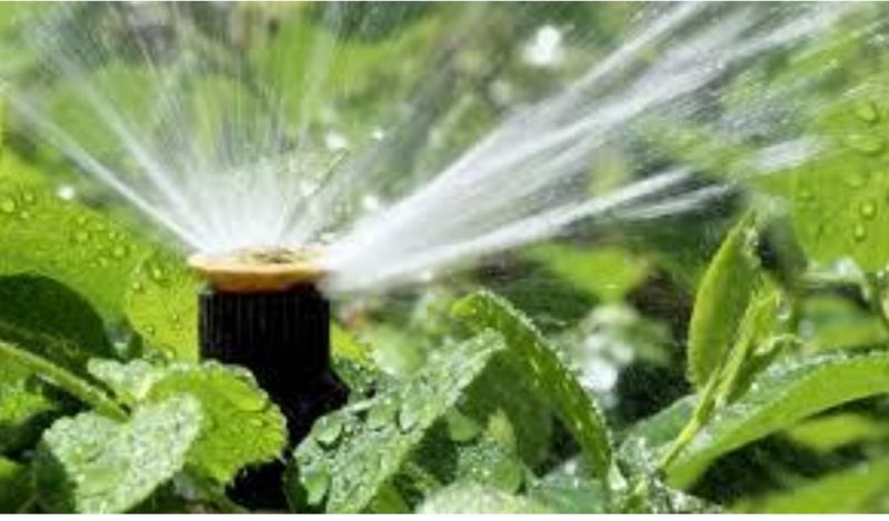 Idanha-a-Nova: Segredo da gestão eficiente da água desvendado pela Academia da 