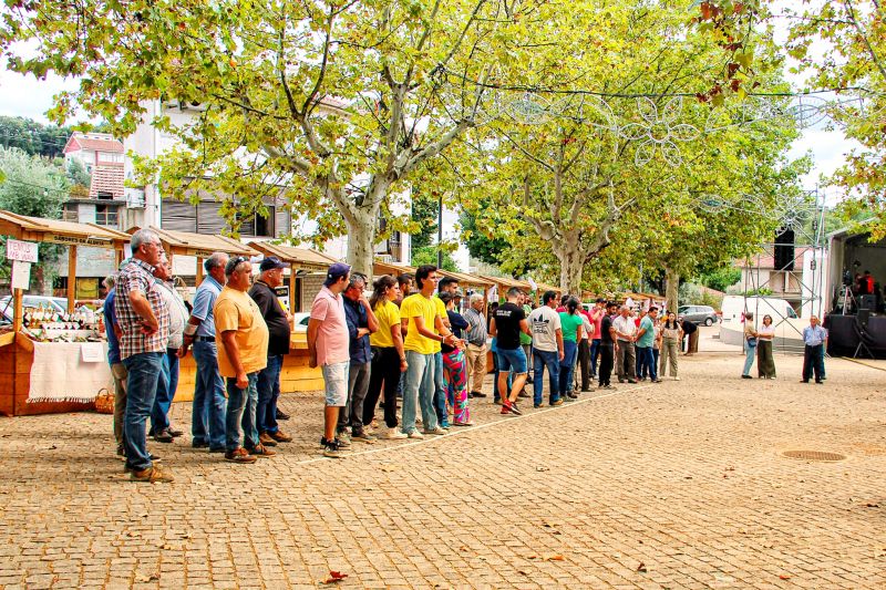 proenya-a-nova-festa-do-municypio-volta-a-focar-jogos-interassociayyes