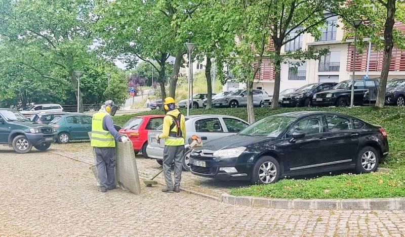 castelo-branco-corte-de-relva-gera-indignayyo-a-moradores-que-denunciam-falta-de-cuidados-por-parte-de-empresa-de-manutenyyo----