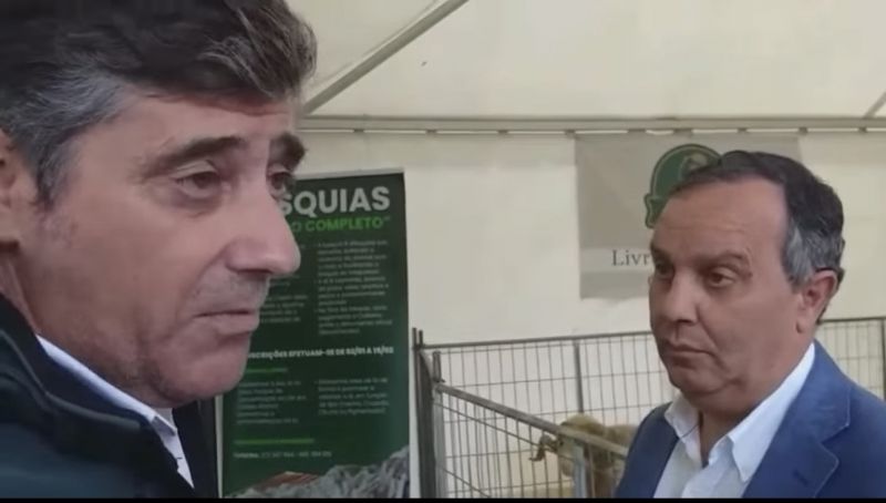 autyarquicas25-sempre-por-todos-alerta-para-risco-de-extinyyo-da-ovelha-merino-da-beira-baixa