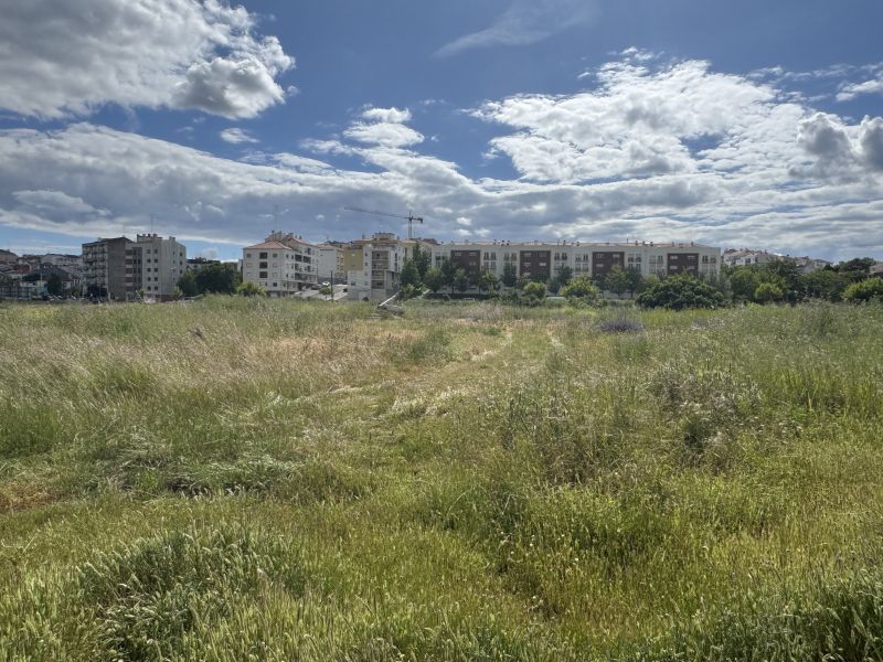 castelo-branco-vale-da-europa-apresenta-elevado-risco-de-incyndio