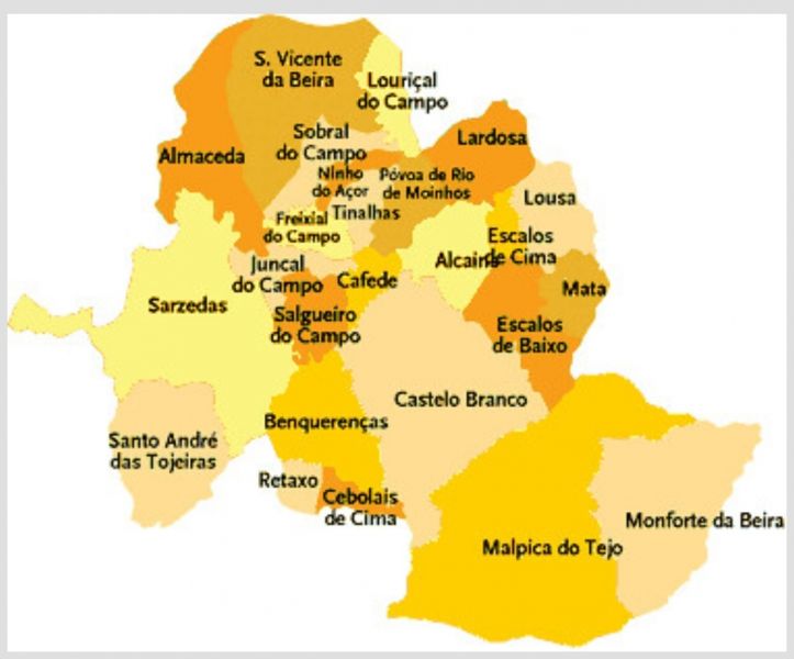 legislativas25-em-4-freguesias-do-ps-de-castelo-branco-venceu-o-chega